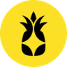 Currency icon