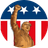 Currency icon