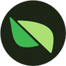 Currency icon