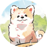 Currency icon