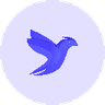 Currency icon