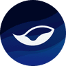 Currency icon