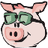 Currency icon