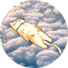 Currency icon