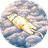 Currency icon