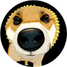Currency icon