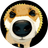 Currency icon