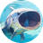 Currency icon