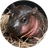 Currency icon