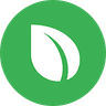 Currency icon