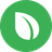 Currency icon