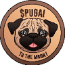 Currency icon