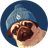 Currency icon