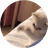Currency icon
