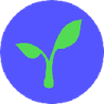 Currency icon