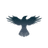 Currency icon