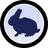 Currency icon