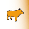 Currency icon
