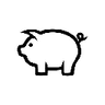 Currency icon