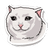 Currency icon