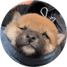 Currency icon