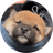 Currency icon