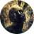 Currency icon