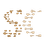 Currency icon