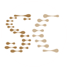 Currency icon