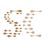 Currency icon