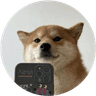 Currency icon