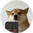 Currency icon