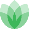 Currency icon