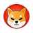Currency icon