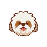 Currency icon