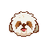 Currency icon