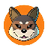 Currency icon