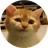 Currency icon