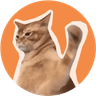 Currency icon