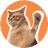 Currency icon