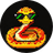 Currency icon
