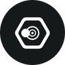 Currency icon