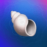 Currency icon