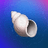 Currency icon