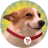 Currency icon