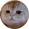 Currency icon