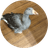 Currency icon