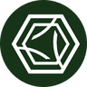Currency icon