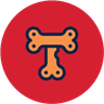 Currency icon