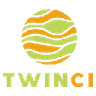 Currency icon